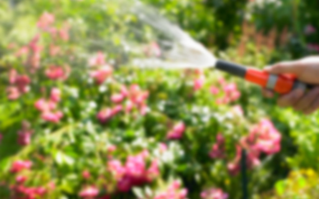 Regen­wasser­nutzung bei eltec24 GmbH in Hannover