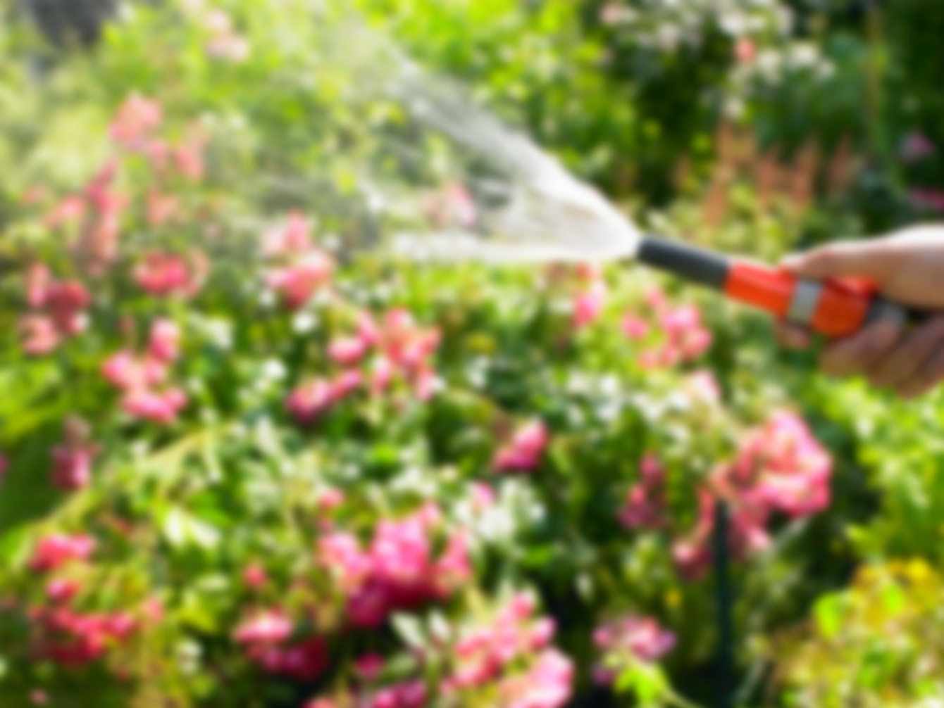 Regen­wasser­nutzung bei eltec24 GmbH in Hannover